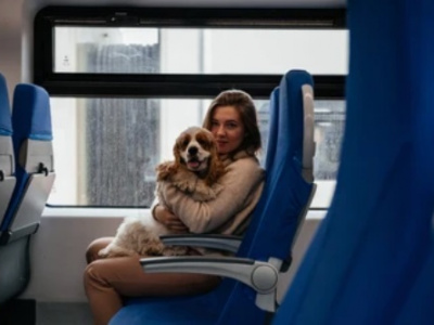 Поездка на поезде с животным: о чём надо знать