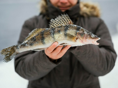 Как защитить себя на зимней рыбалке: основные меры предосторожности